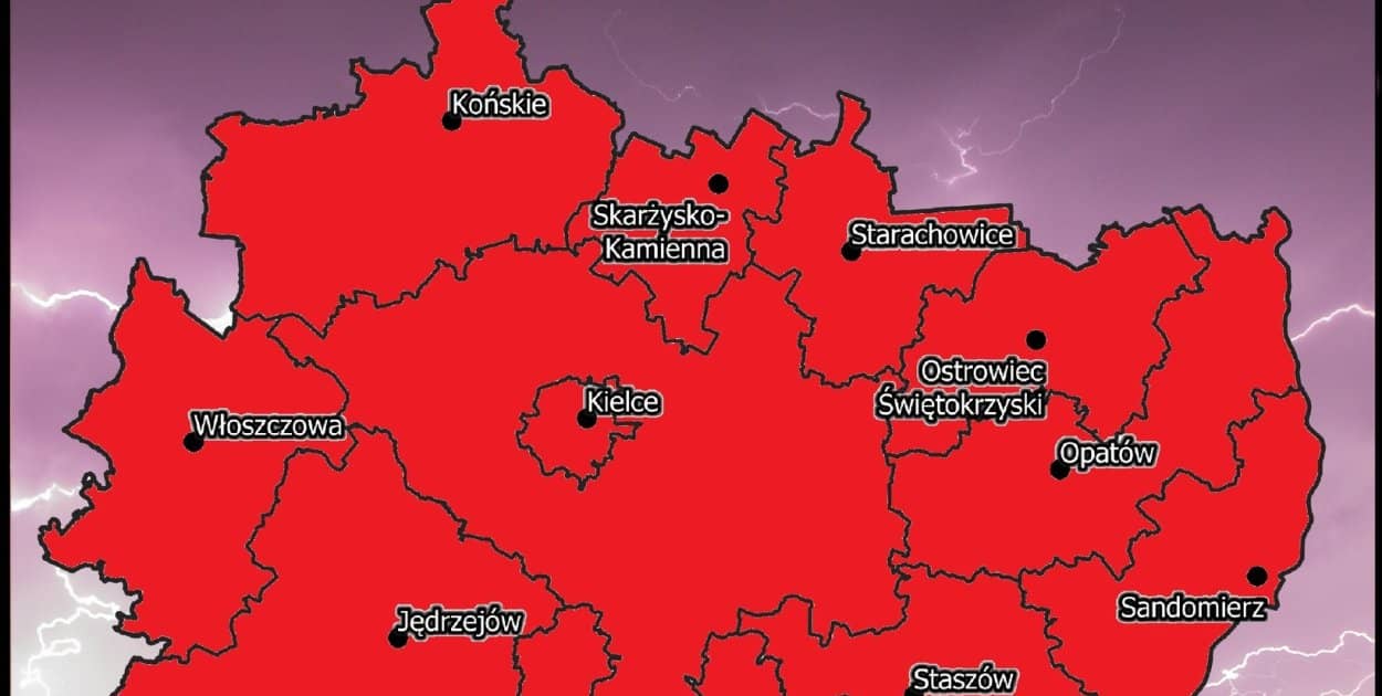 Zdjęcie