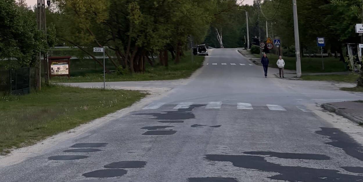 Zdjęcie