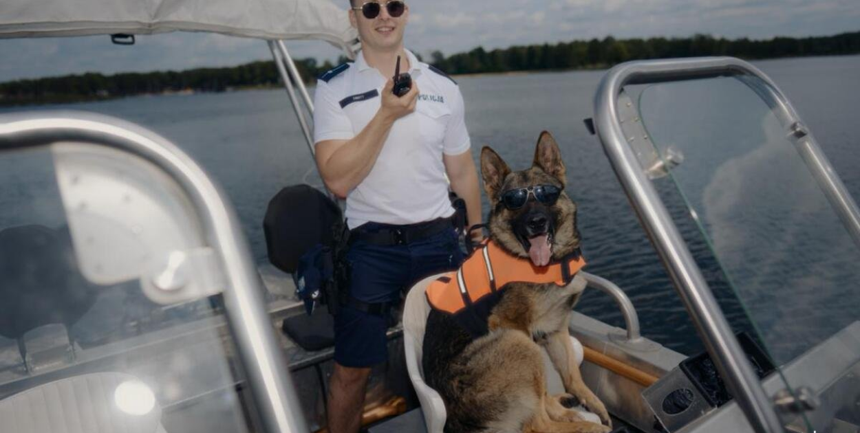 Zdjęcie