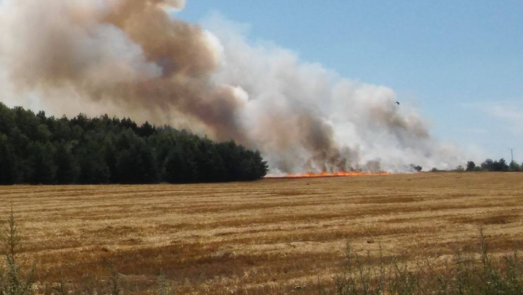 Strażacy walczyli z ogniem nieopodal Końskich [zdjęcia]