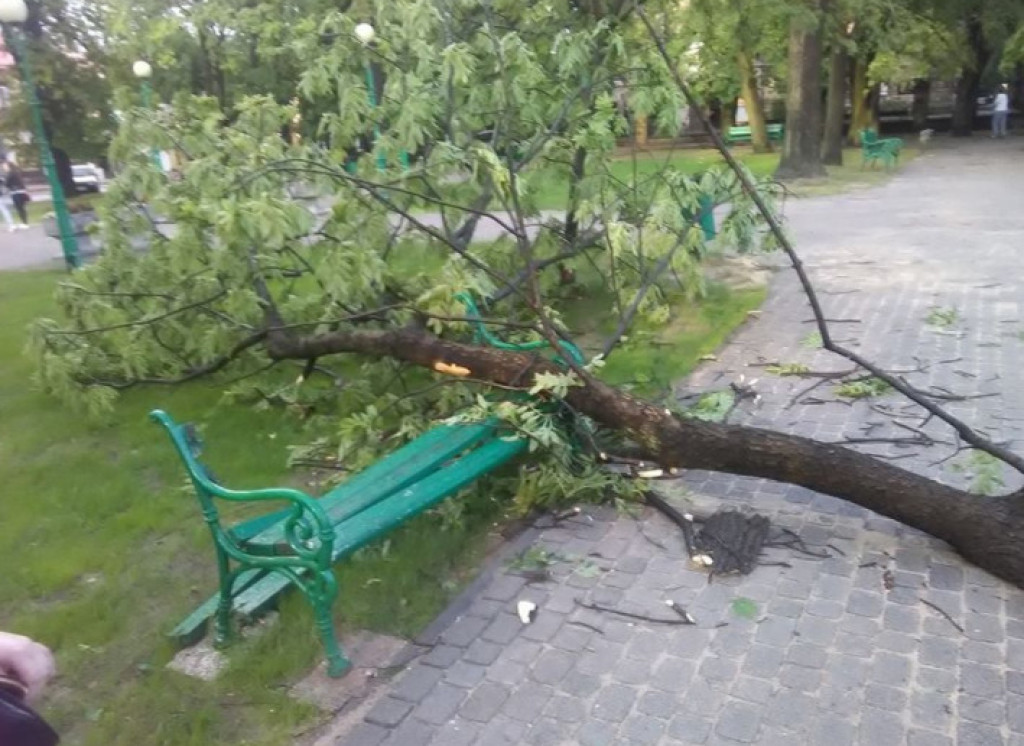 WIDEO: Nawałnica przeszła przez Końskie. Straty są ogromne