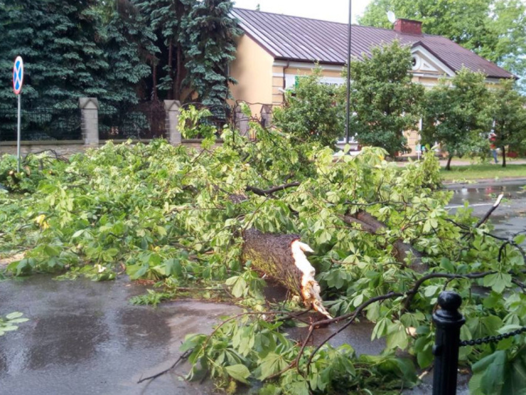 WIDEO: Nawałnica przeszła przez Końskie. Straty są ogromne
