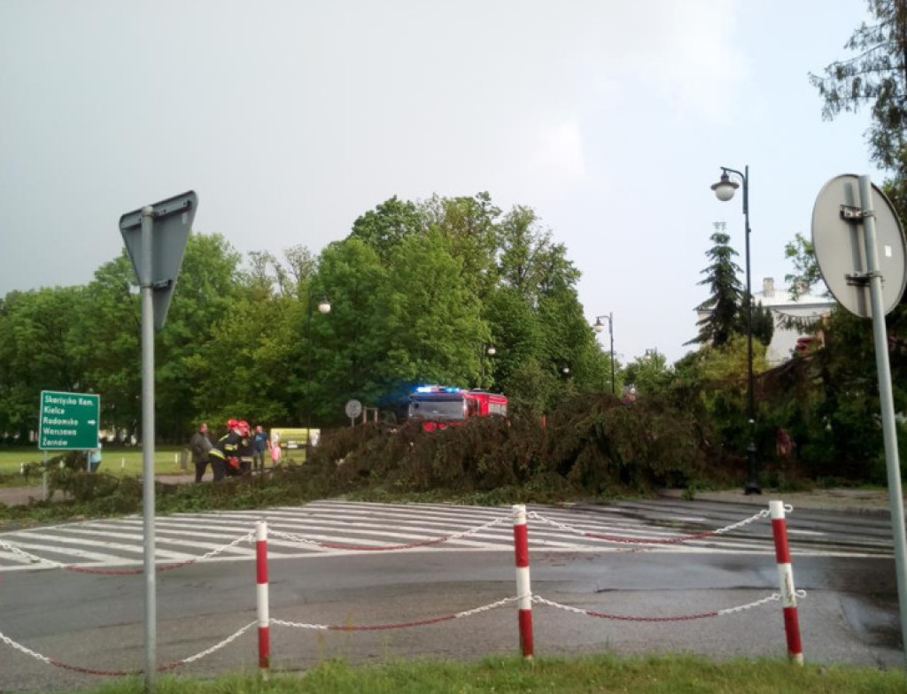 WIDEO: Nawałnica przeszła przez Końskie. Straty są ogromne
