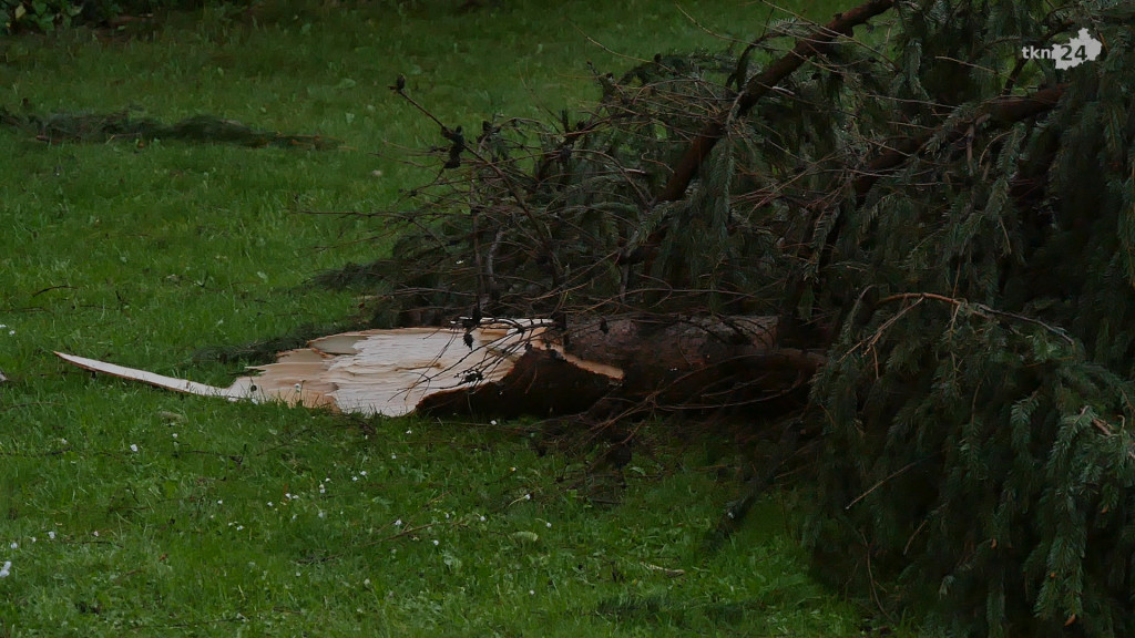 WIDEO: Nawałnica przeszła przez Końskie. Straty są ogromne