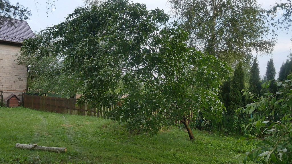 WIDEO: Nawałnica przeszła przez Końskie. Straty są ogromne