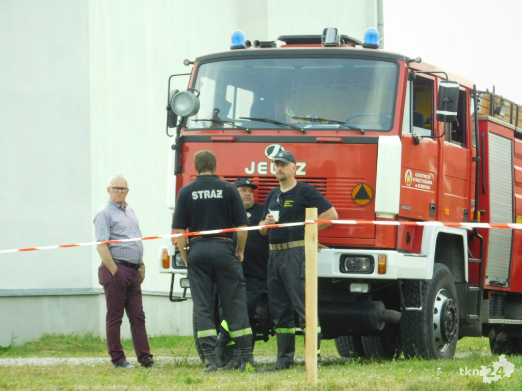 Mnóstwo osób uczestniczy w pikniku Dni Kultury Chrześcijańskiej [galeria zdjęć]