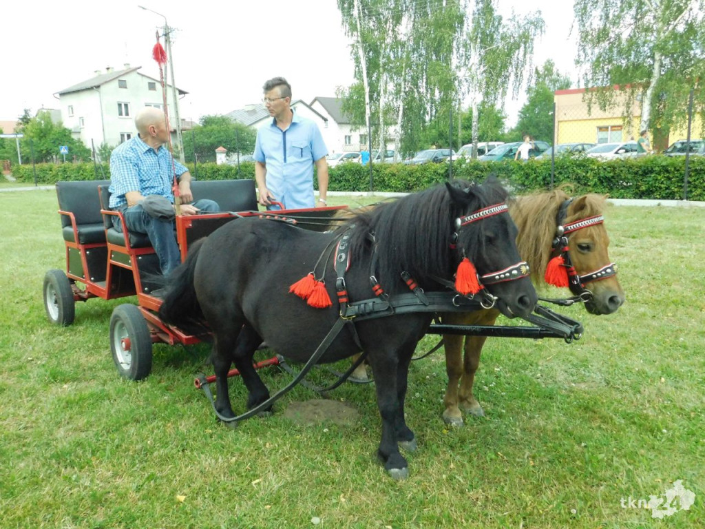 Mnóstwo osób uczestniczy w pikniku Dni Kultury Chrześcijańskiej [galeria zdjęć]