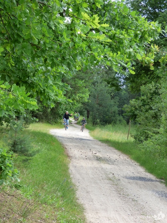 Letnia integracja mieszkańców Cieklińska i Koliszów [zdjęcia]