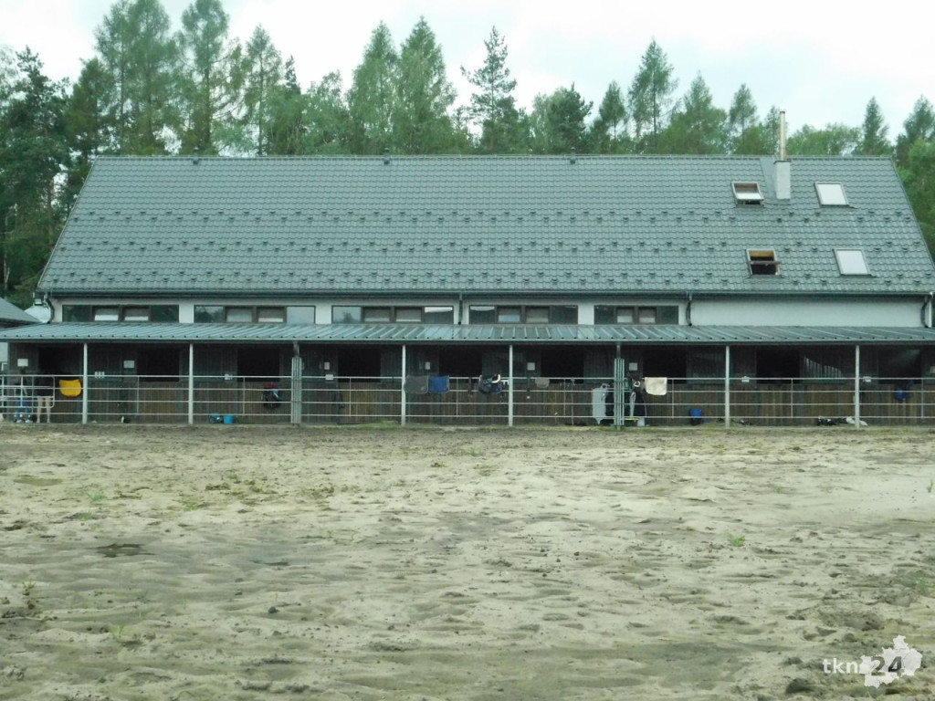 Piękne konie i sportowe emocje w Stajni u Ciepłego [wideo, zdjęcia]