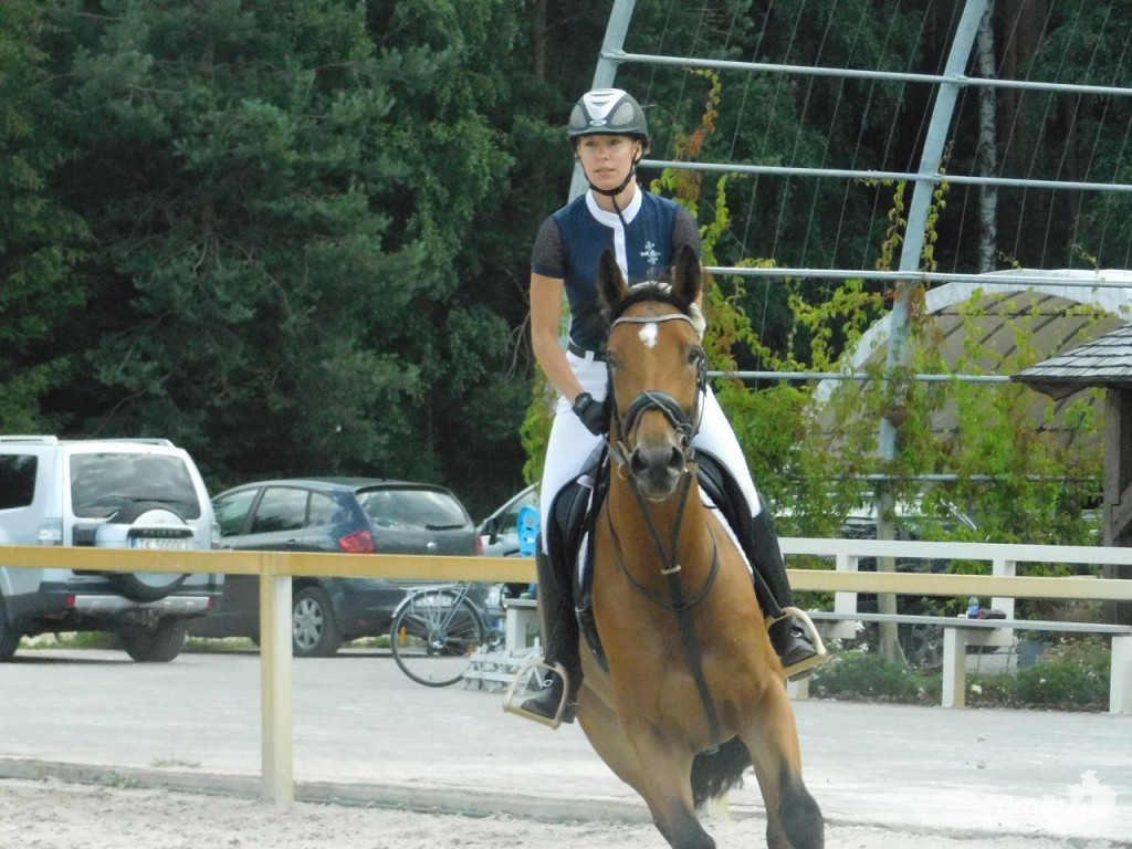Piękne konie i sportowe emocje w Stajni u Ciepłego [wideo, zdjęcia]