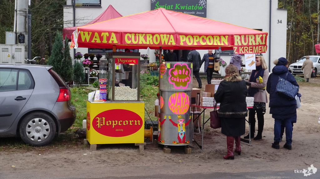 Wszystkich Świętych 2017 w Powiecie Koneckim [wideo, zdjęcia]
