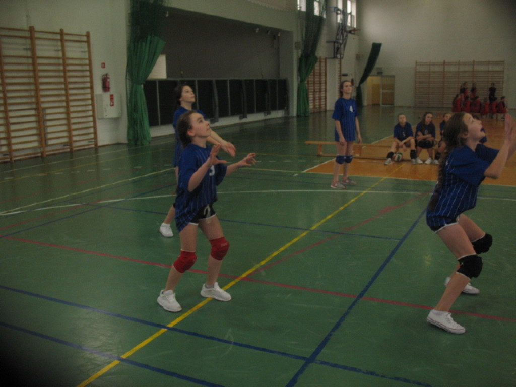 Uczennice z SP Niekłań najlepsze w mini piłce siatkowej [zdjęcia]