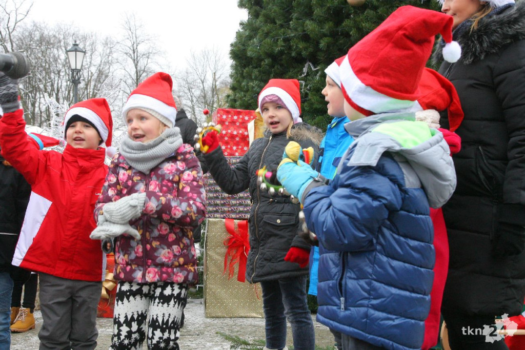 WIDEO: Choinka w Końskich jest już rozświetlona! [zdjęcia]