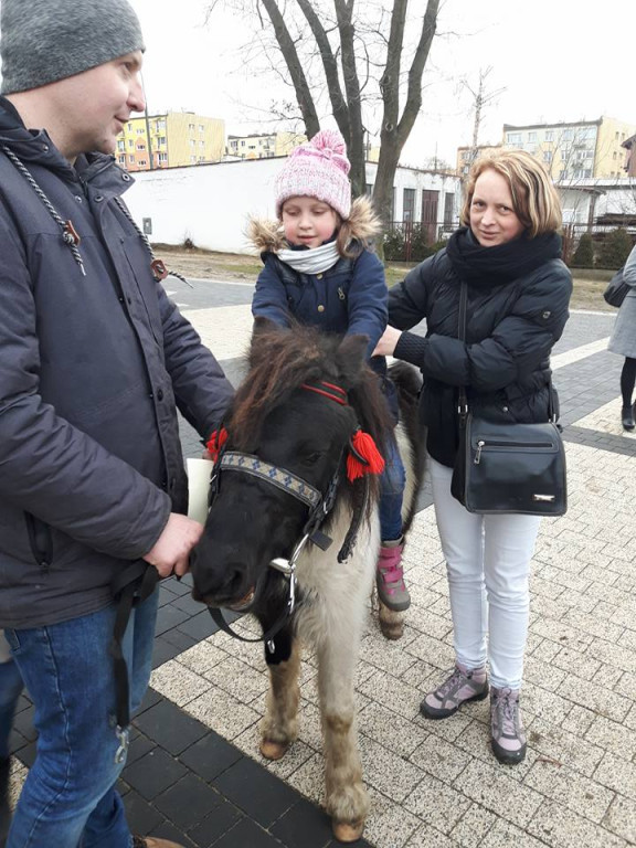 Trzej Królowie odwiedzili Stąporków [zdjęcia]
