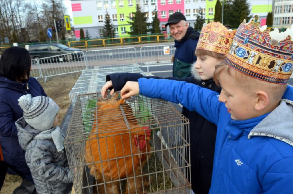 Trzej Królowie odwiedzili Stąporków [zdjęcia]