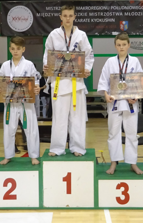 Koneccy karatecy z medalami w Krośnie [zdjęcia]