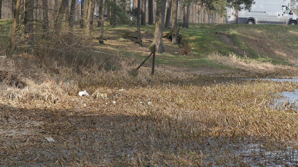 Czytelnik interweniuje: Góry śmieci w Sielpi i w Kopaninach [wideo, zdjęcia]