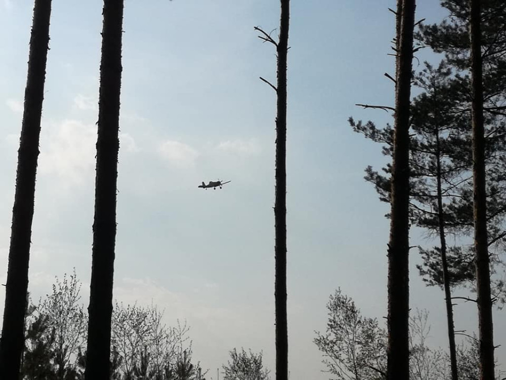 Mnóstwo jednostek gasiło pożar lasu w okolicach Nieświnia [zdjęcia]