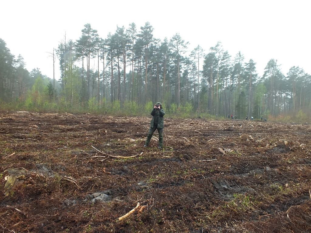 Zasadzili 1000 nowych drzew [zdjęcia]