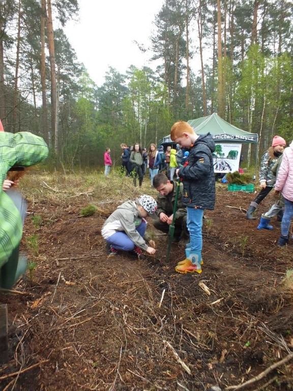Zasadzili 1000 nowych drzew [zdjęcia]