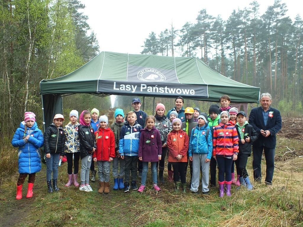 Zasadzili 1000 nowych drzew [zdjęcia]
