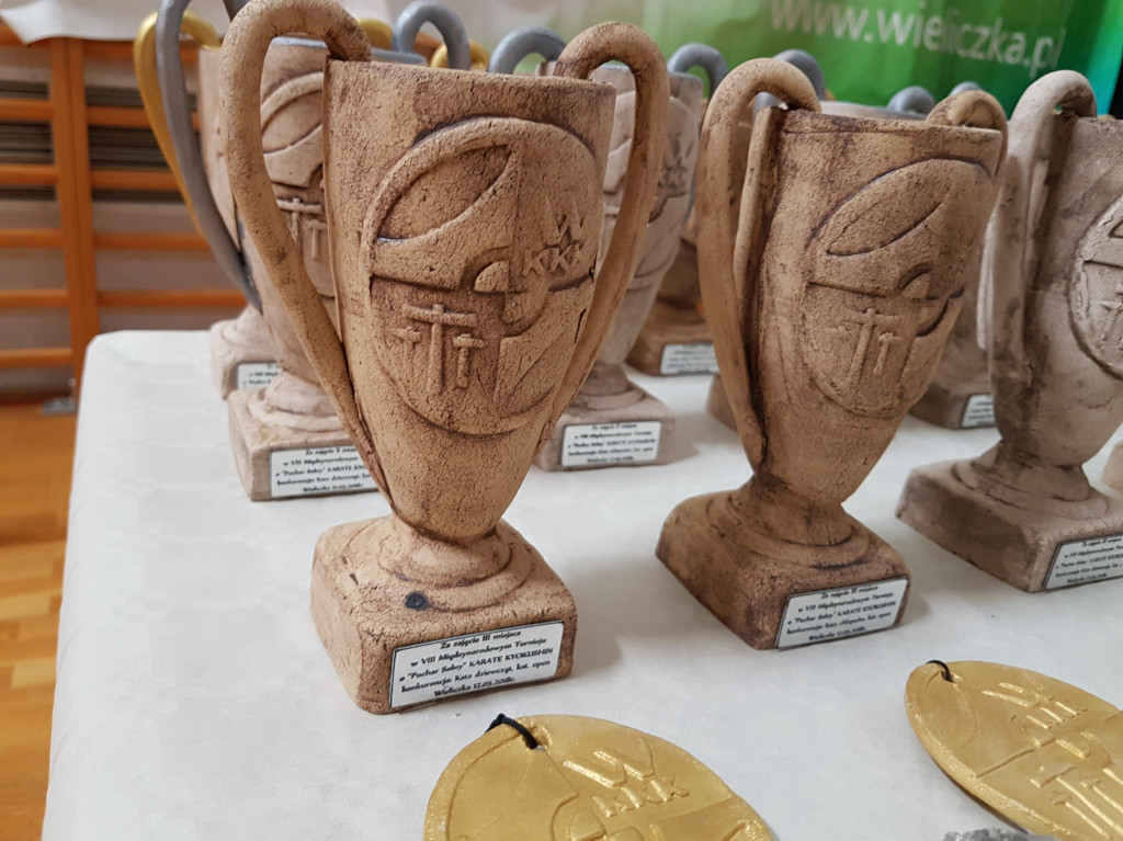Karatecy z Niekłania Wielkiego z dwoma medalami w Wieliczce [zdjęcia]