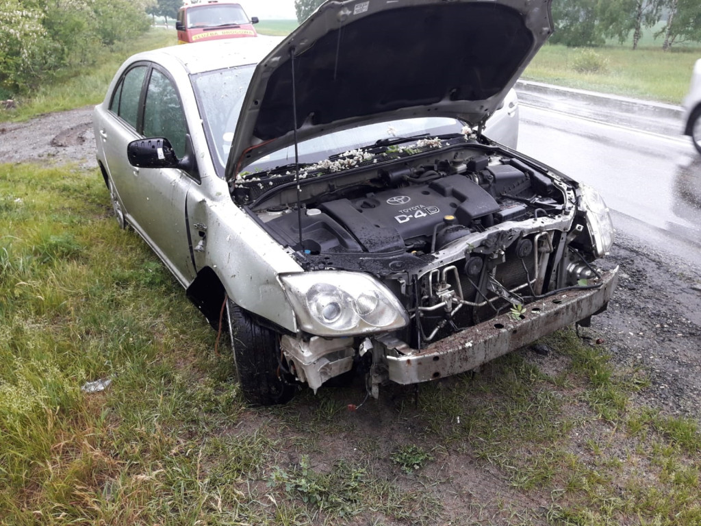 Sarna wybiegła mu na drogę, zjechał prosto w drzewa [zdjęcia]