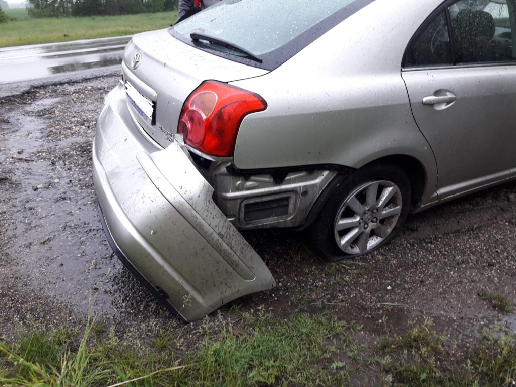 Sarna wybiegła mu na drogę, zjechał prosto w drzewa [zdjęcia]