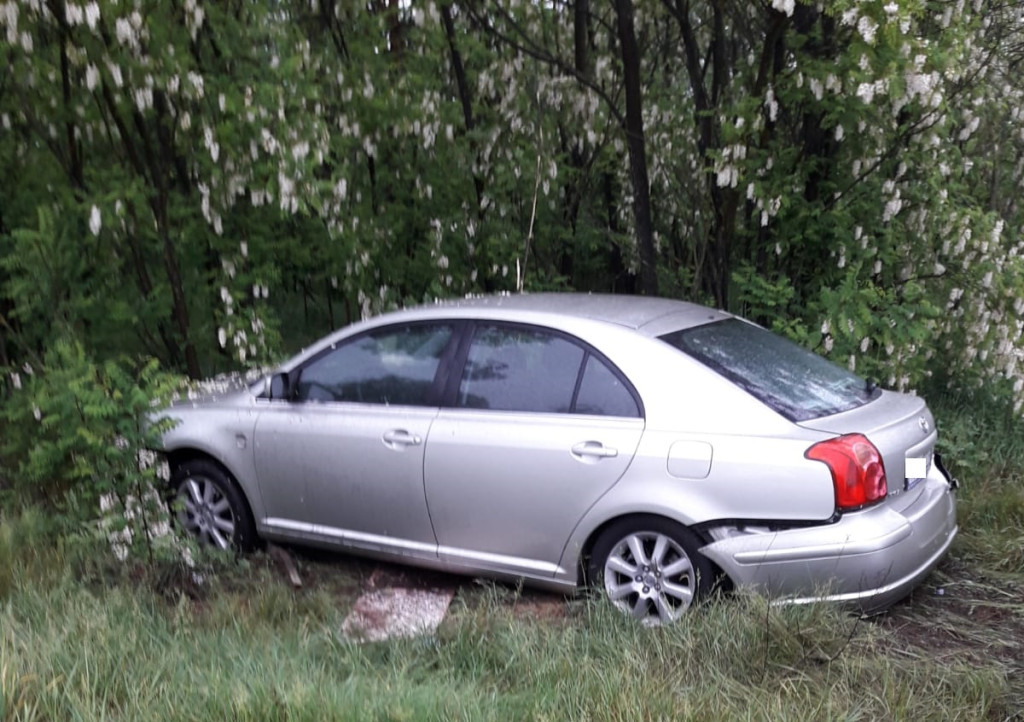 Sarna wybiegła mu na drogę, zjechał prosto w drzewa [zdjęcia]