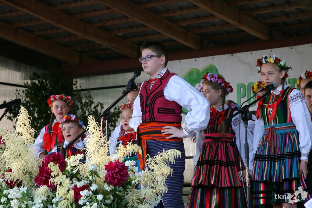 Powiatowe Święto Ludowe w Sokołowie [wideo, zdjęcia]