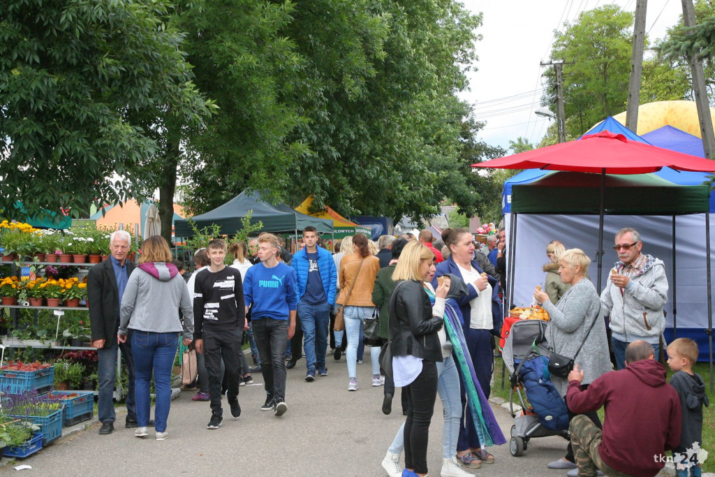 Relacja wideo: Dzień Otwarty i wystawa zwierząt w ŚODR Modliszewice