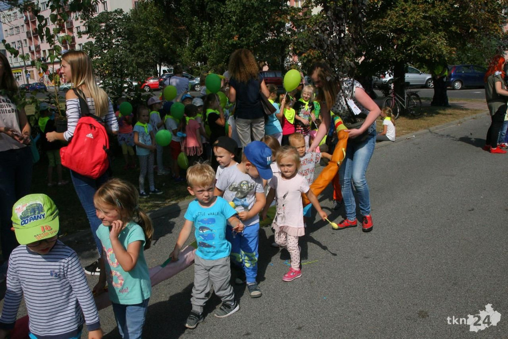 Konecczanie są ekologiczni. Tłumy zamieniły surowce wtórne na drzewka [wideo, zdjęcia]