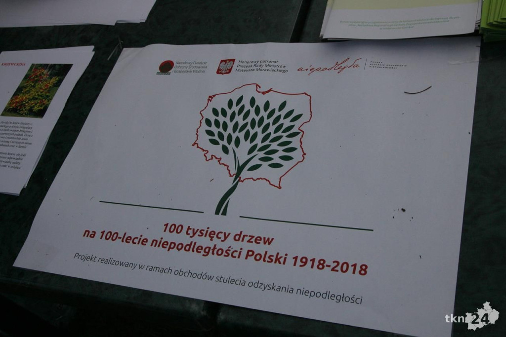 Konecczanie są ekologiczni. Tłumy zamieniły surowce wtórne na drzewka [wideo, zdjęcia]