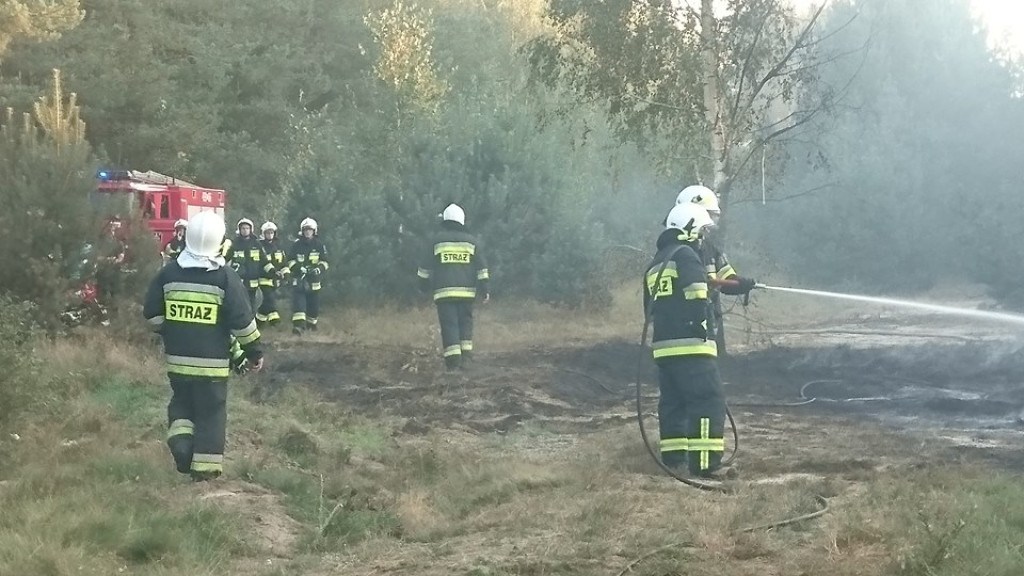 Duży pożar składowiska opon w Gręboszach [wideo, zdjęcia]