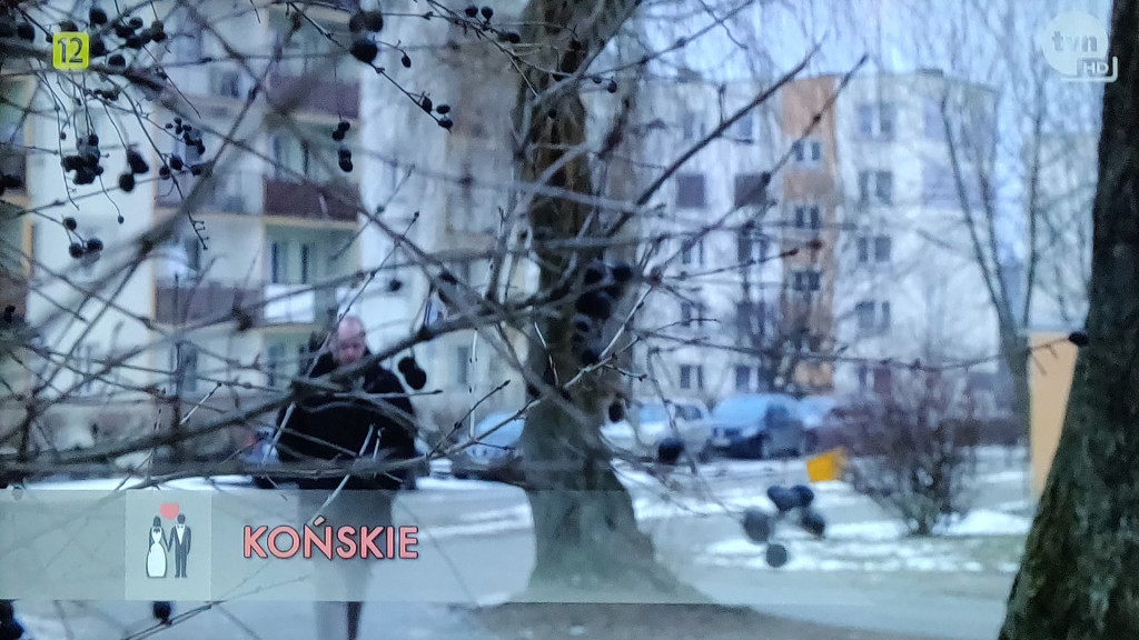 Maciej z Końskich w tvn`owskim Ślubie od pierwszego wejrzenia! [zdjęcia]