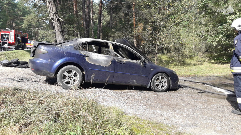 Pożar auta na drodze krajowej [zdjęcia, wideo]