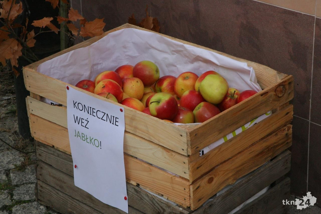 Jesień z Fines. Akcja społeczna koneckiej placówki [zdjęcia]