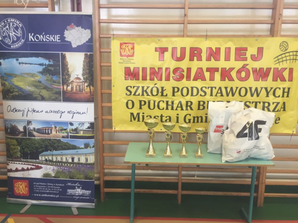 W Rogowie grali w siatkówkę. Wygrali gospodarze [zdjęcia]
