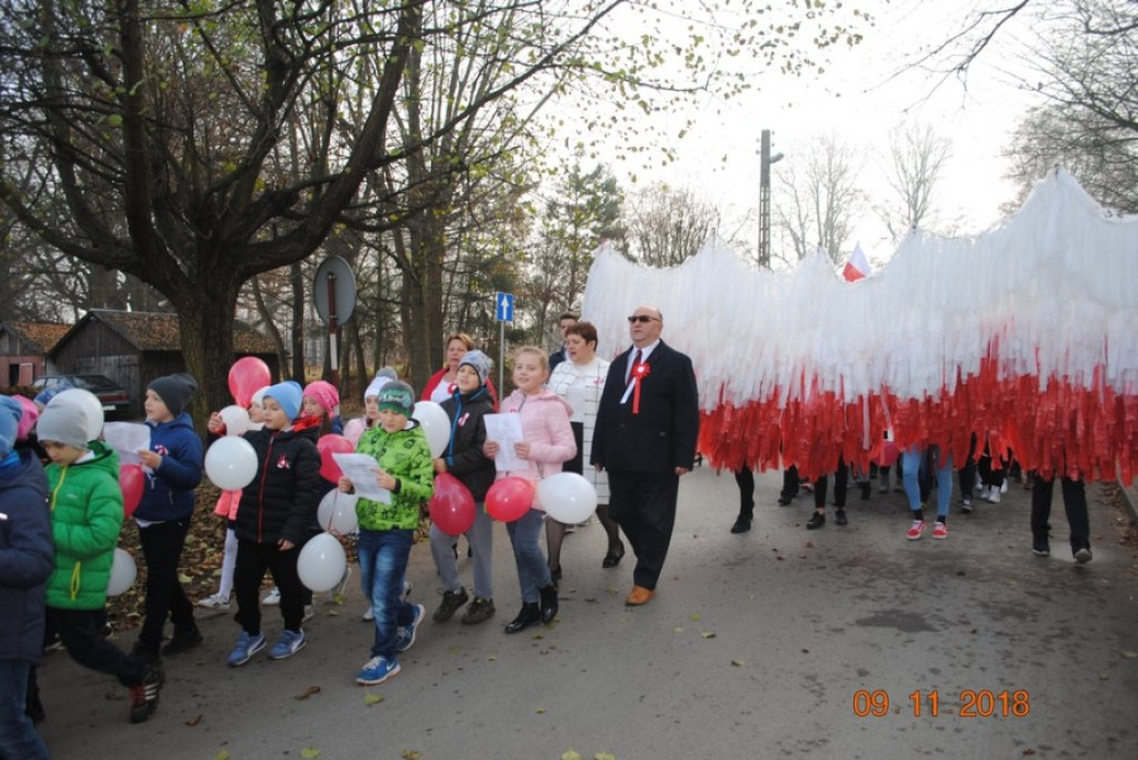 Uroczyście obchodzono Święto Niepodległości w Fałkowie [zdjęcia]