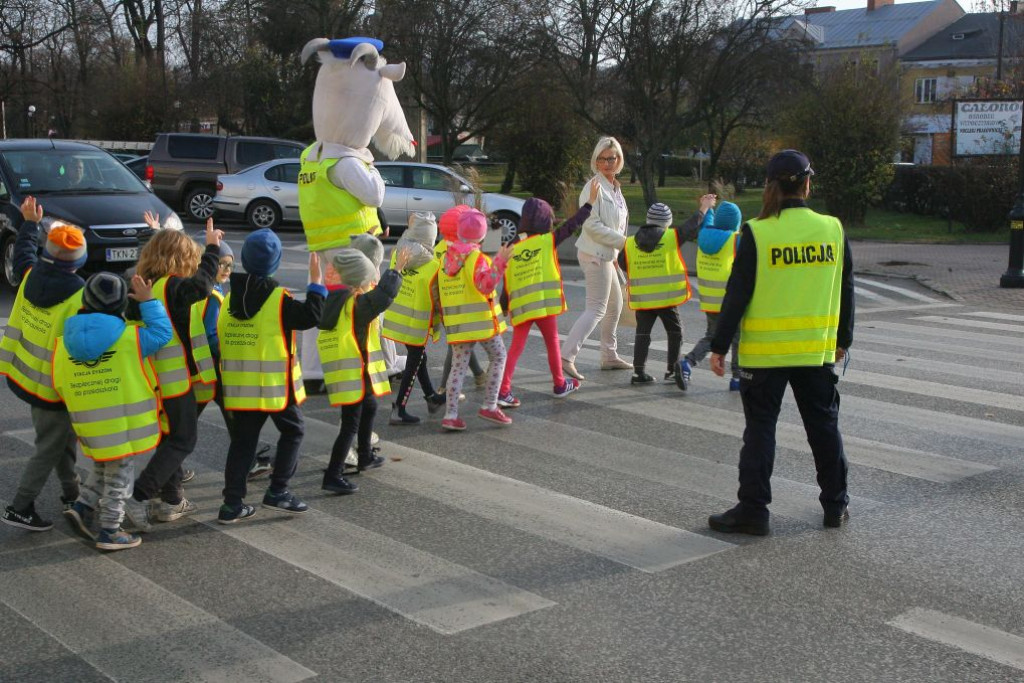Policjanci uczyli przedszkolaki przechodzenia przez jezdnię [wideo, zdjęcia]