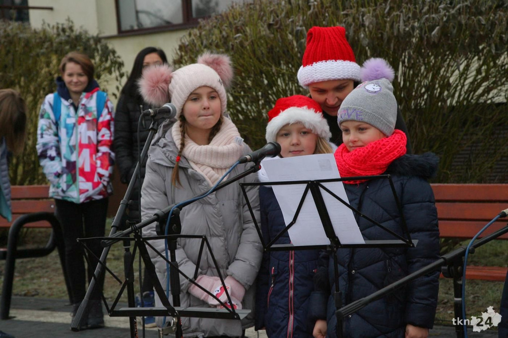 Relacja wideo: Iluminacja choinki w Stąporkowie