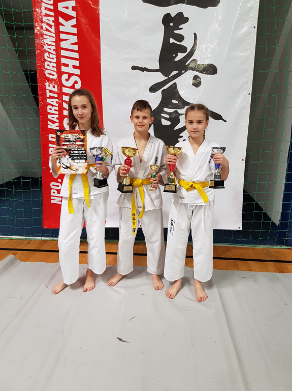 Zawodnicy z Niekłania Wielkiego z 7 medalami w Lublinie [zdjęcia]