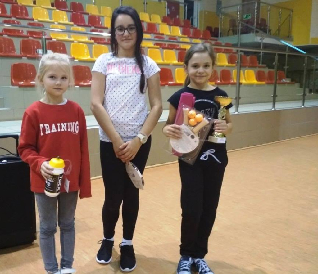 Grudniowe turnieje sportowe w gminie Fałków [zdjęcia]