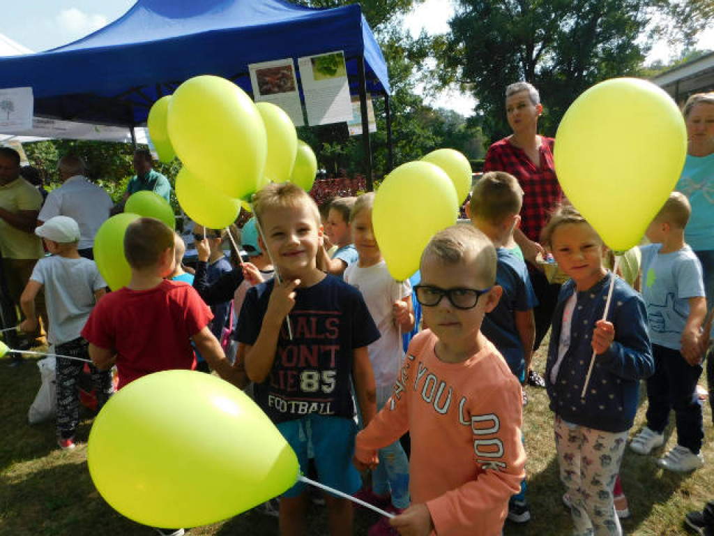 Nabór do Przedszkola nr 5 w Końskich [zdjęcia]
