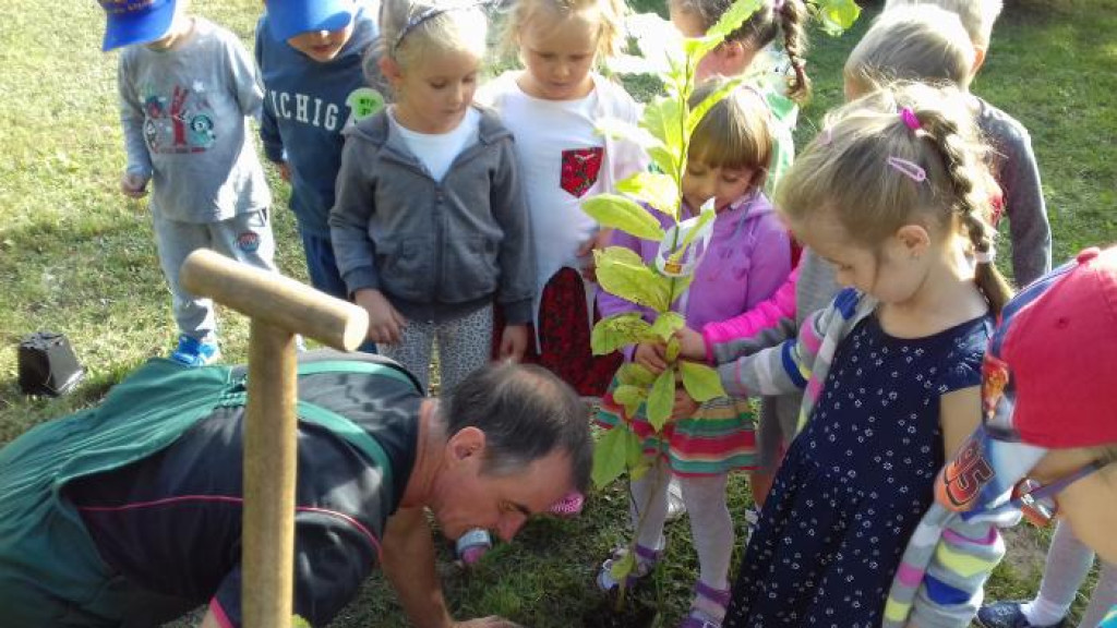 Przedszkole nr 2 w Końskich. Tuż obok Ogródka Jordanowskiego [zdjęcia]