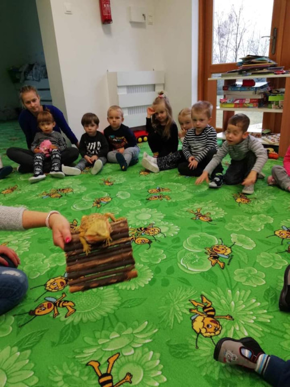 Przedszkole i Żłobek Słoneczko z Końskich i Stąporkowa zaprasza [zdjęcia]
