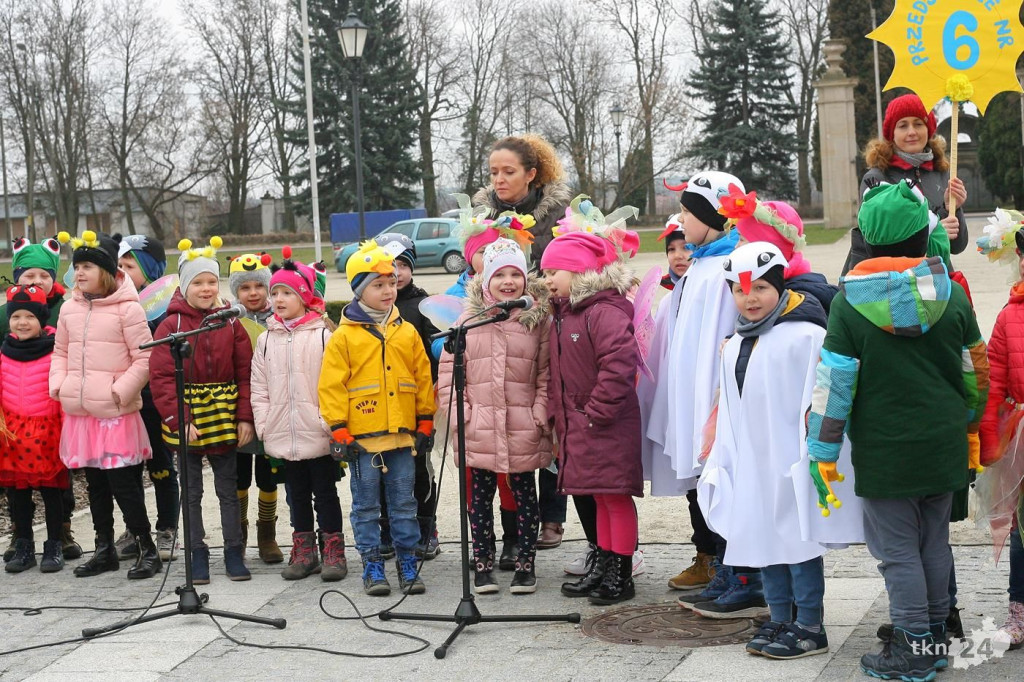 Przedszkolaki w Końskich budziły wiosnę! Zobaczcie wideo i zdjęcia