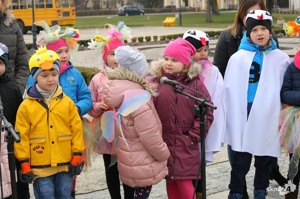 Przedszkolaki w Końskich budziły wiosnę! Zobaczcie wideo i zdjęcia