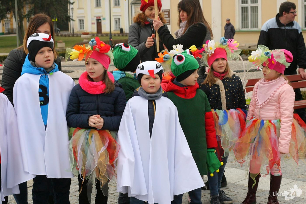 Przedszkolaki w Końskich budziły wiosnę! Zobaczcie wideo i zdjęcia