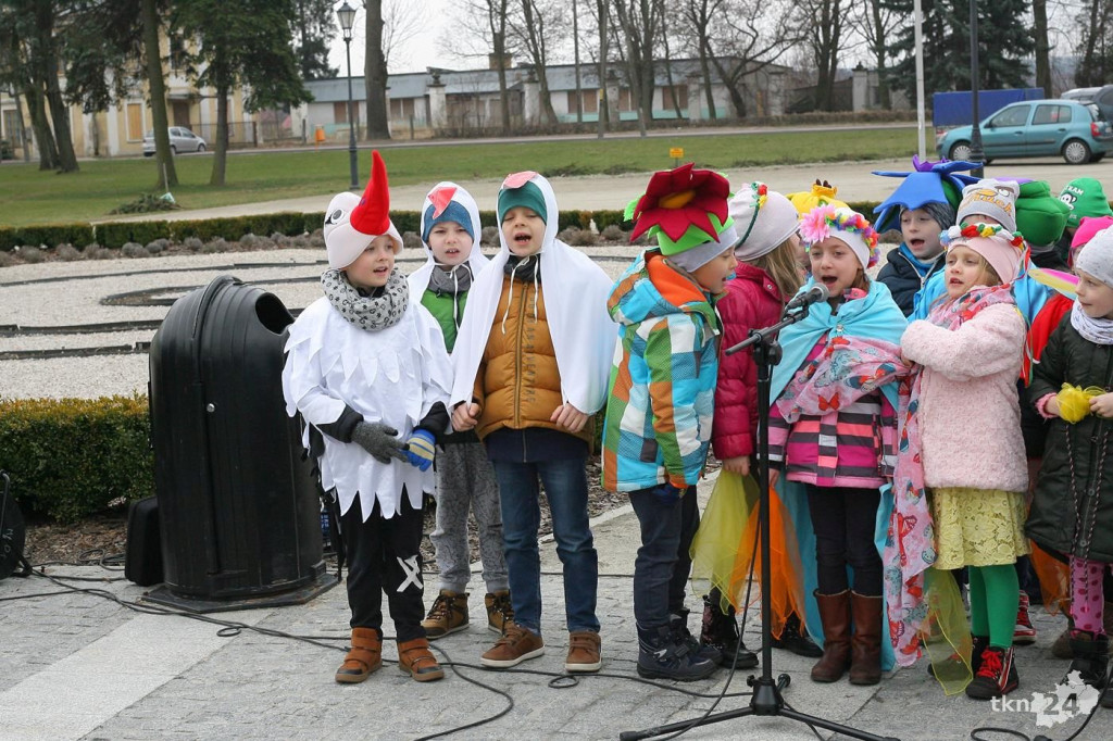 Przedszkolaki w Końskich budziły wiosnę! Zobaczcie wideo i zdjęcia
